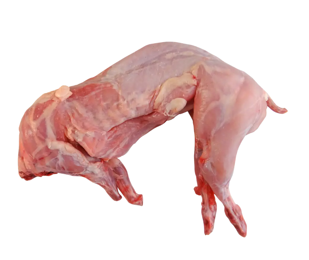 WHOLE RABBIT -LAPIN ENTIER