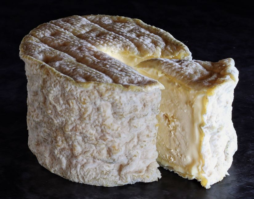 BONDE DE GATINE GOAT CHEESE BONDE DE GATINE CHEVRE