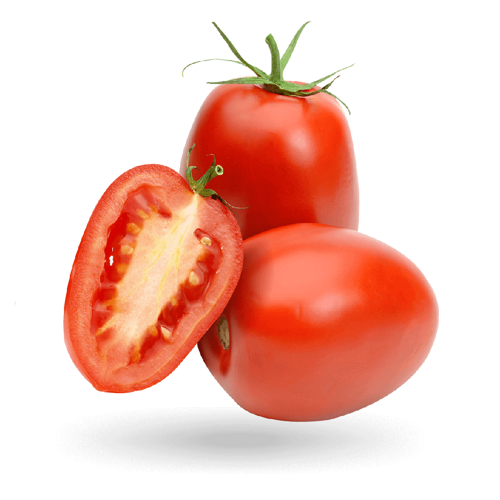 ROMA TOMATOES-KG / TOMATES ROMA - KG
