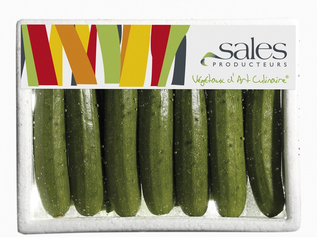 BABY ZUCCHINI - PUNNET  MINI COURGETTES - BQT