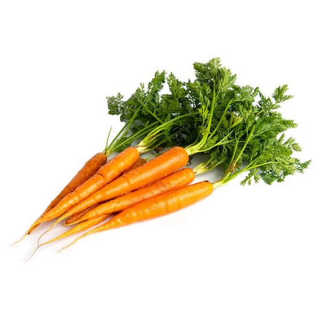 BABY CARROTS ORANGE - BUNCH MINI CAROTTE 