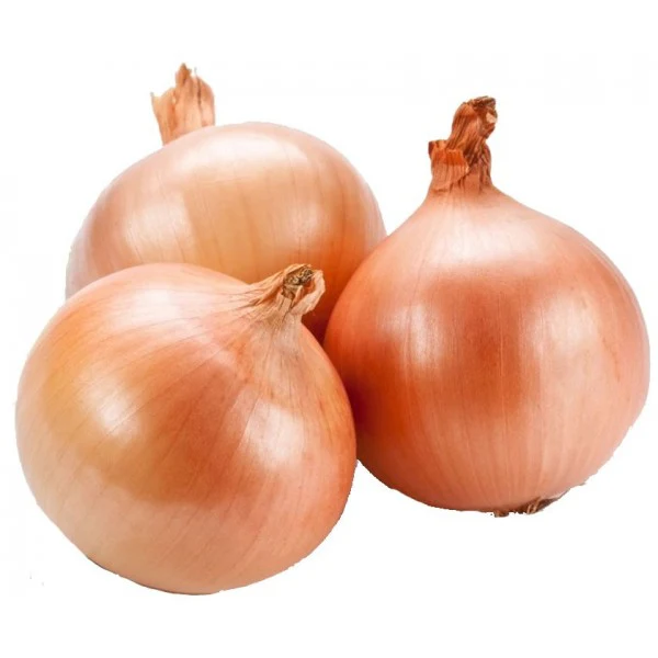 BROWN ONIONS / OIGNONS JAUNES - KG