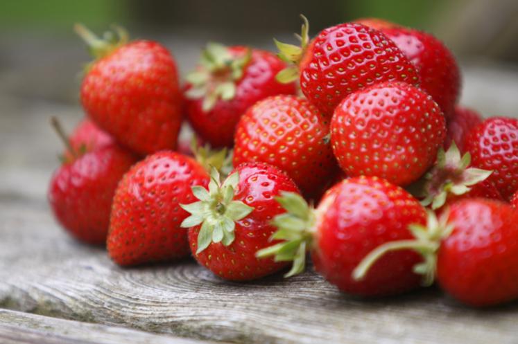 STRAWBERRIES/FRAISE FRANCE - KG