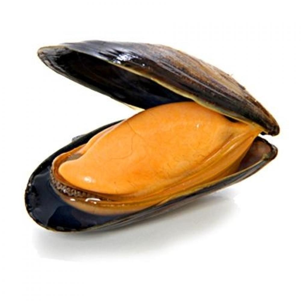 MUSSEL SPAIN - 1 KG