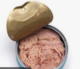 CANNED TUNA / THON AU NATUREL 