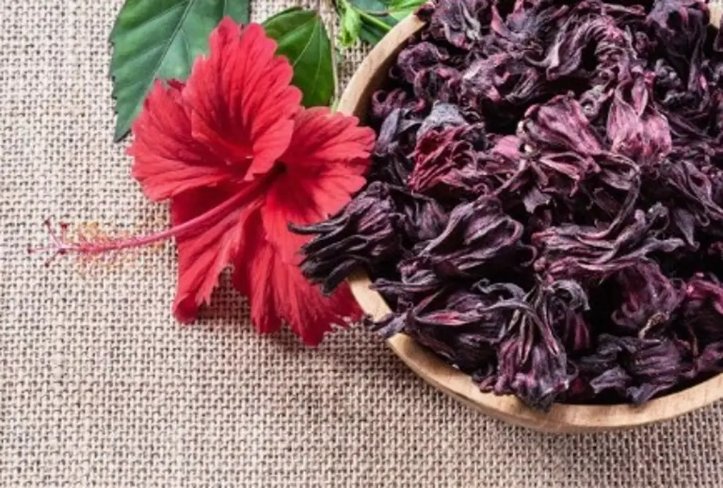 FLEUR HIBISCUS SECHEE 130G