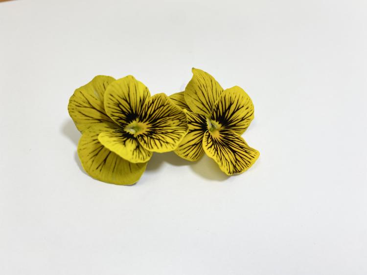 FLEURS PENSEE JAUNE BQ (FRANCE)