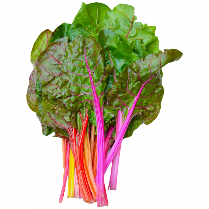 SWISS CHARD WITH THICK STEMS - BLETTE À CARDE À GROSSES TIGES