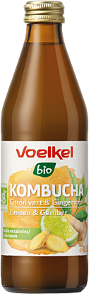 KOMBUCHA FLAVOURED - 33CL KOMBUCHA FLAVOUR - 33CL
