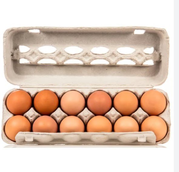 EGGS 6 PCS FREE RANGE - OEUFS PLEIN AIR 6PCS 