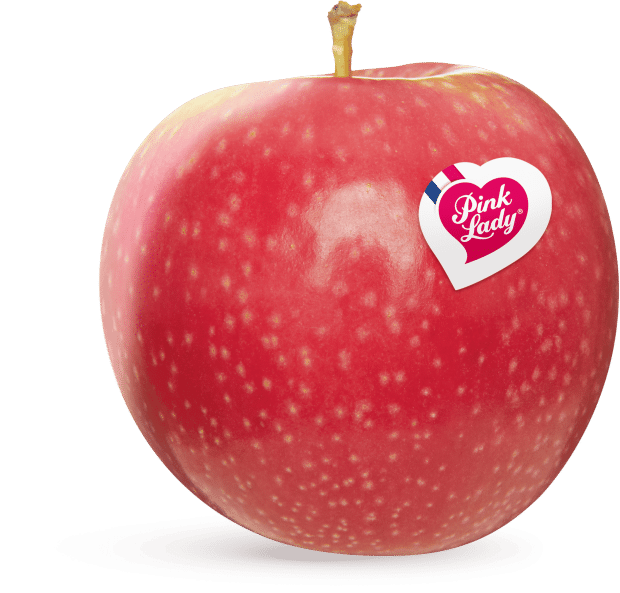 APPLE PINK LADY - KG POMME PINK LADY - KG