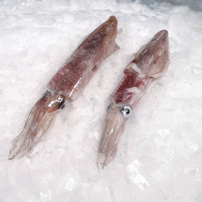 CALAMARI 2/300GR - KG ENCORNET 2/300GR - KG