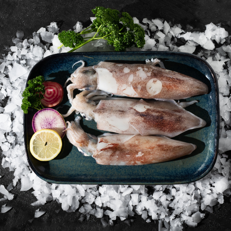 CALAMARI 3/500GR - KG CALAMAR 3/500GR - KG