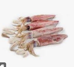 CALAMARI 5/800GR MANCHE - KG CALMARS 5/800GR MANCHE - KG