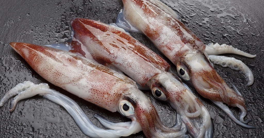 CALAMARI LINE FISHING FAO - KG CALAMAR PECHE LIGNE FAO - KG