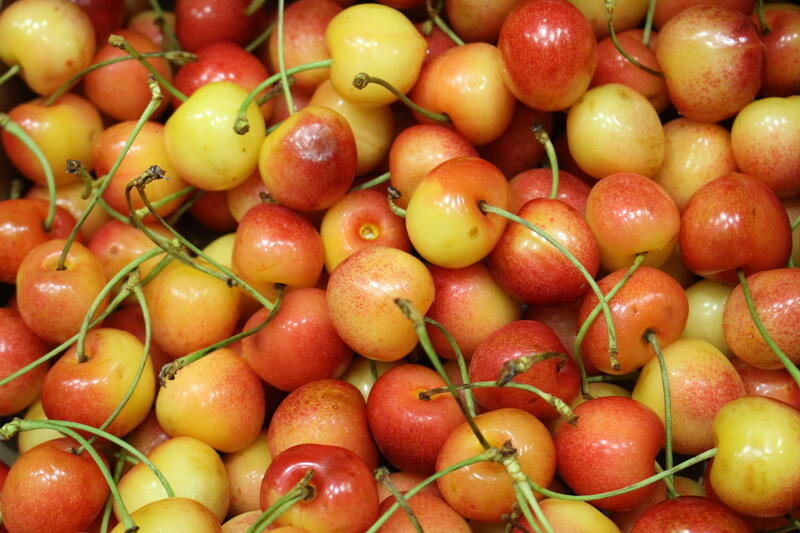 CHERRY WHITE IMPORT -  PUNNET - CERISE BLANCHE BARQUETTE  - KG