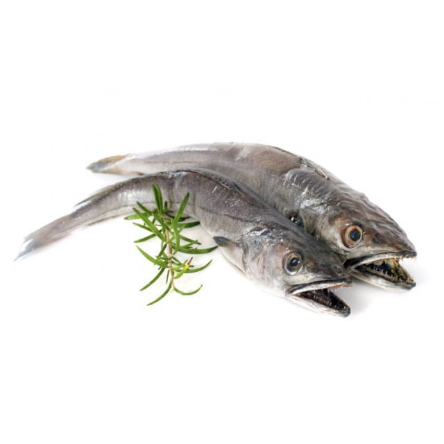 HAKE 3/4 ATLANTIC NORTH/EAST – MERLU 3/4 ATLANTIQUE NORD-EST 