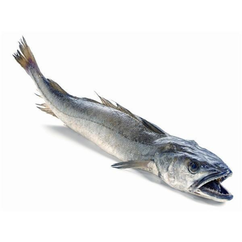 HAKE ATLANTIC 500/1000GR – MERLU ATLANTIQUE 500/1000GR