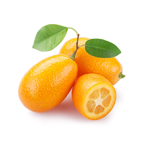 KUMQUAT - KG KUMQUAT - KG