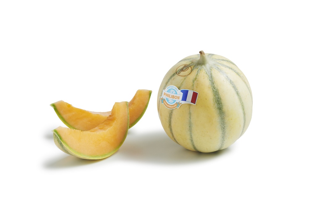 MELON PHILIBON MINI MELON PHILIBON