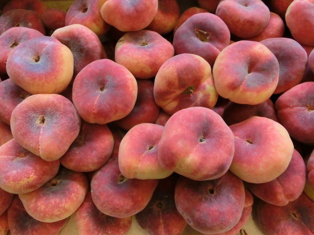 PEACH FLAT - KG PECHE PLATE - KG