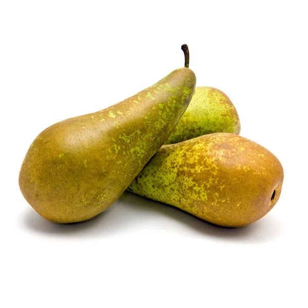 PEAR CONFERENCE - KG POIRE CONFERENCE - KG