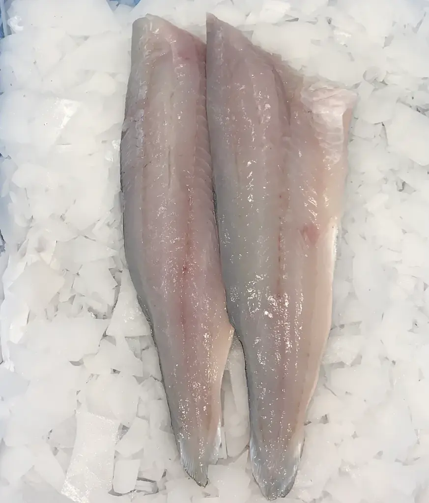 POLLACK FISH 2/4 – FILET DE LIEU JAUNE