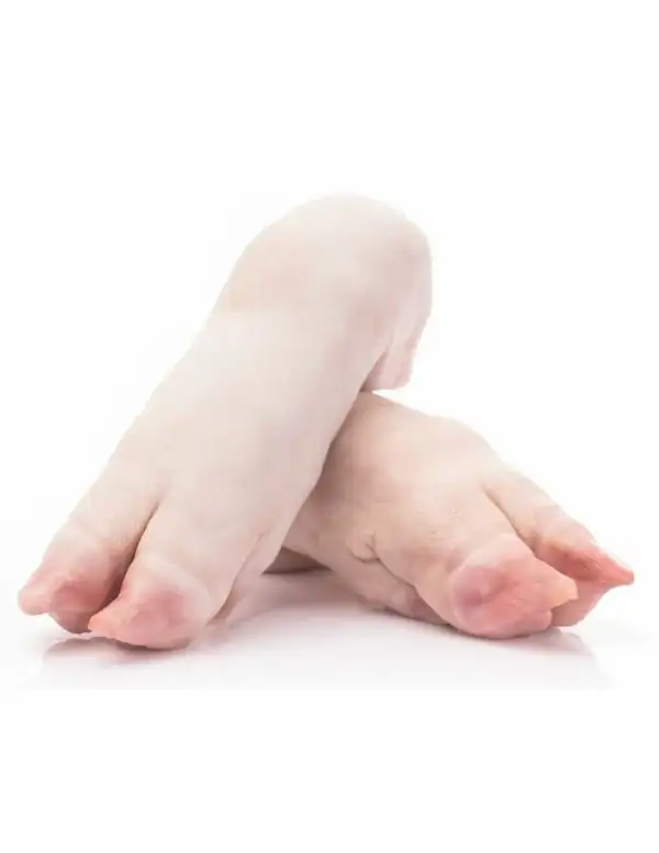 PORK TROTTER -PIED DE PORC