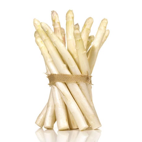 ASPARAGUS WHITE +22 - BUNCH ASPERGE BLANCHE +22 - BOTTE