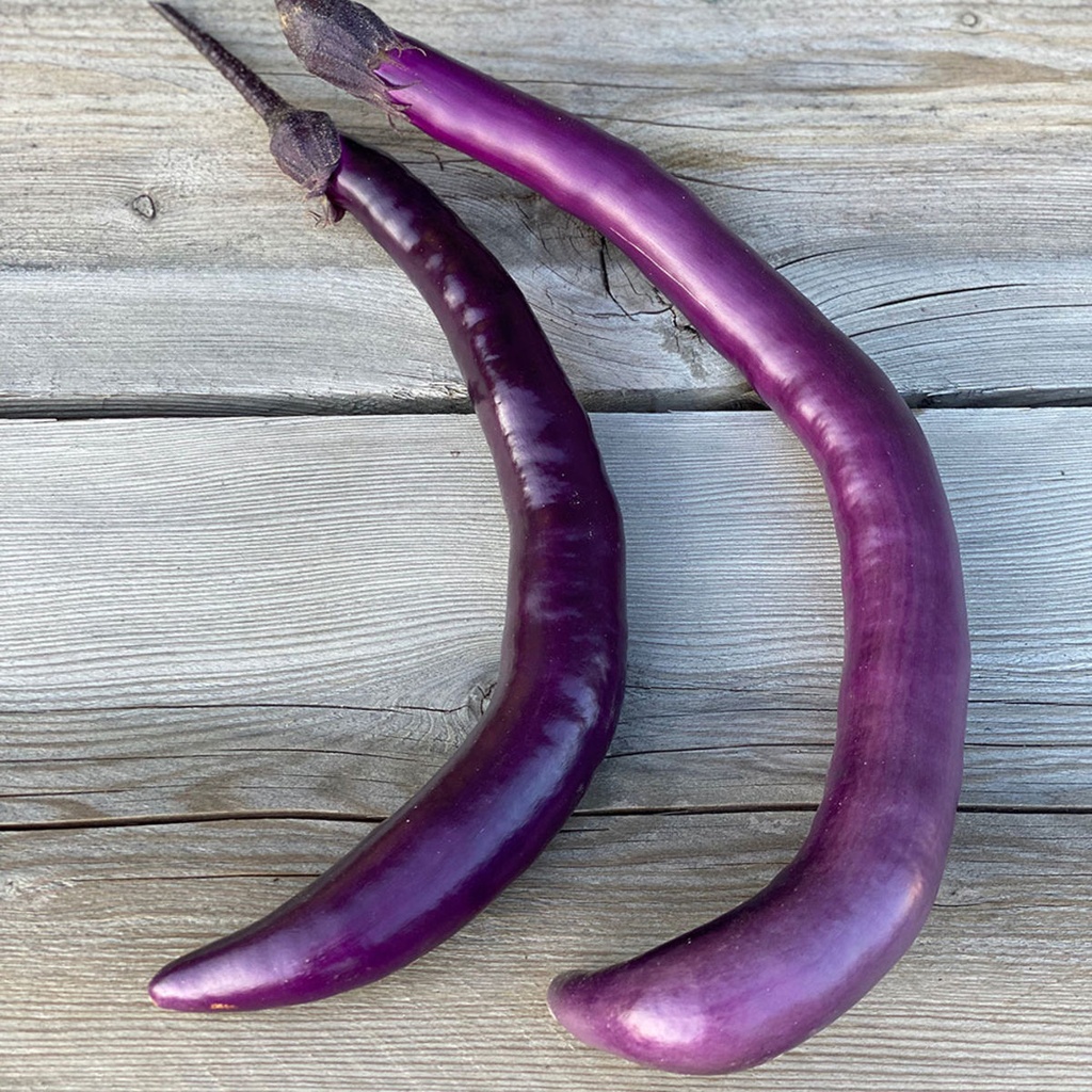 AUBERGINE LONG JAPANESE/THAI - KG AUBERGINE LONGUE - KG