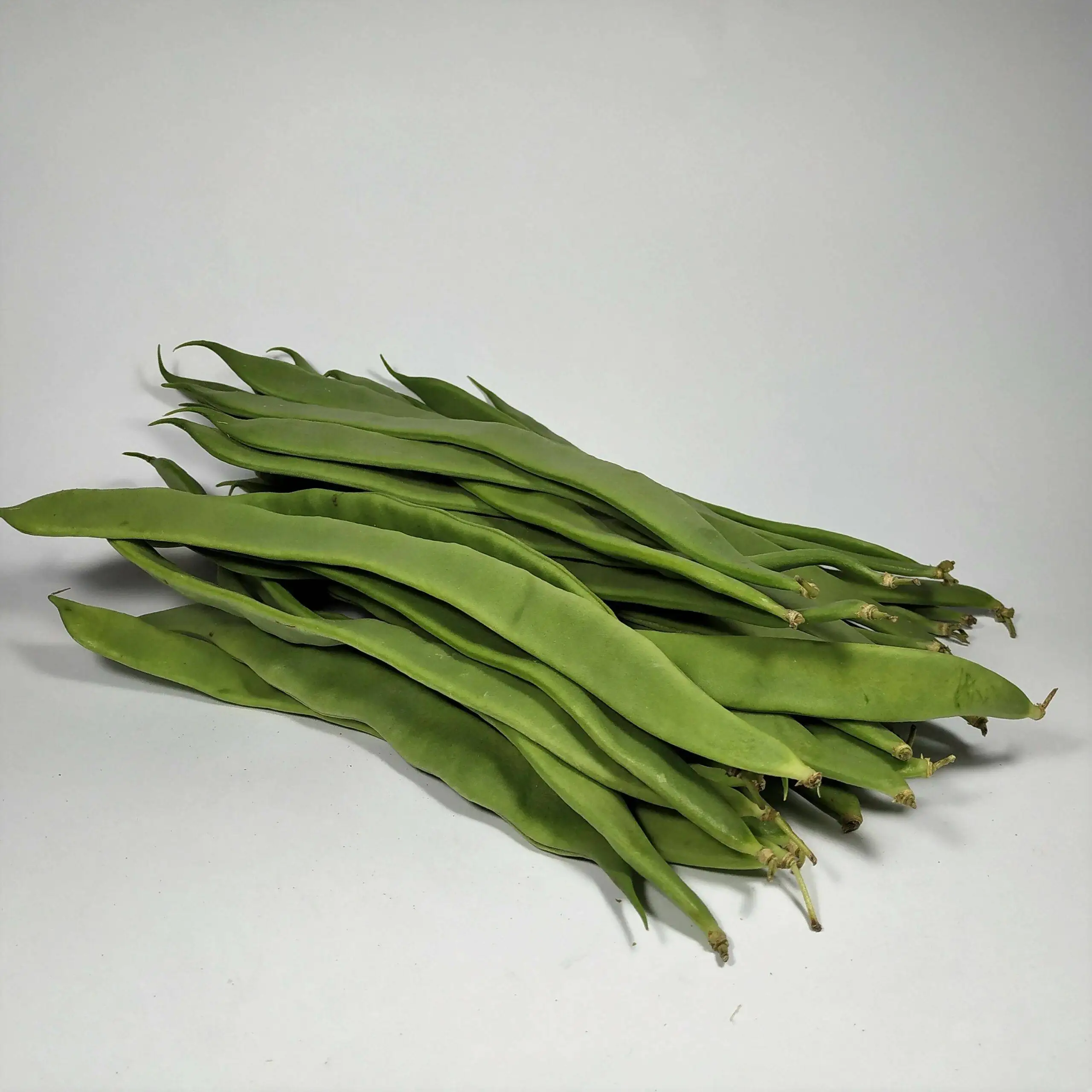 BEANS COCO FLAT - KG HARICOT COCO PLAT - KG