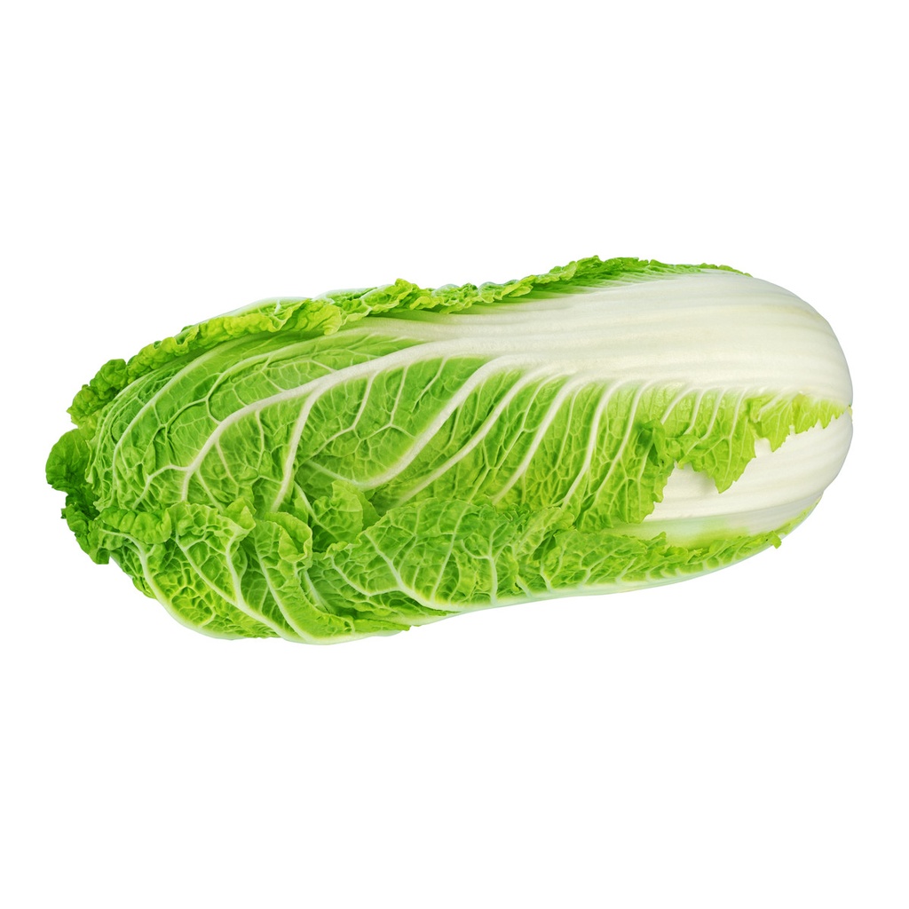 CABBAGE CHINESE - KG CHOU CHINOIS - KG