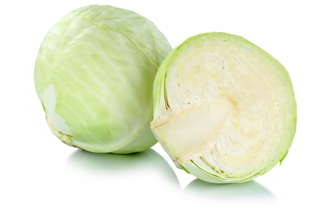 CABBAGE WHITE - KG CHOUX BLANC - KG
