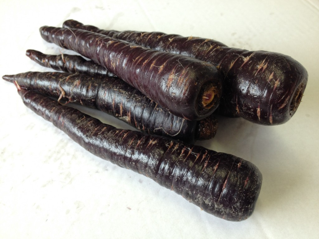 CARROT PURPLE - KG CAROTTE VIOLETTE - KG