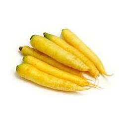 CARROT YELLOW - KG CAROTTE JAUNE - KG