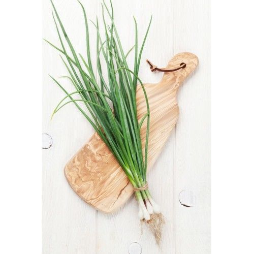 CHIVES, ASIAN- CIBOULETTES ASIATIQUE