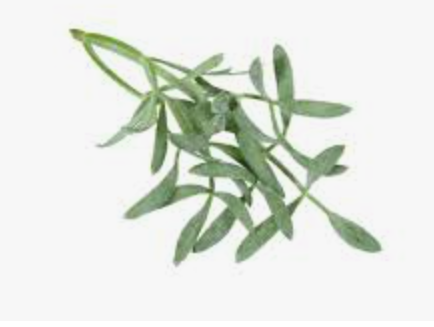 CRESS SEA FENNEL - PUNNET CRESS FENOUIL MER - BQT