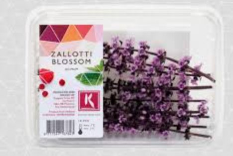 CRESS ZALOTTI CRESS ZALOTTI
