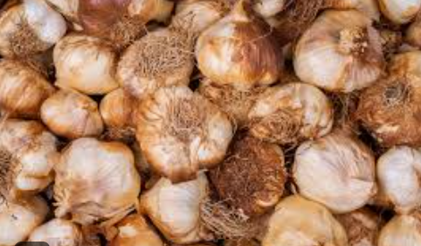 GARLIC SMOKED - KG AIL FUME - KG