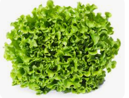 LETTUCE - BATAVIA BLOND - KG SALADE BATAVIA BLONDE - KG