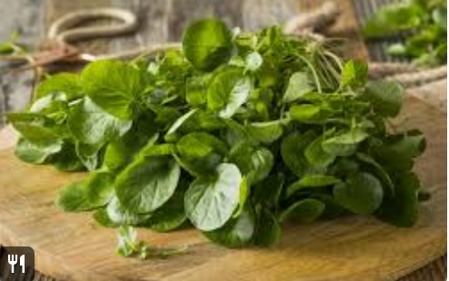 LETTUCE - WATERCRESS - BUNCH SALADE CRESSON - BOTTE