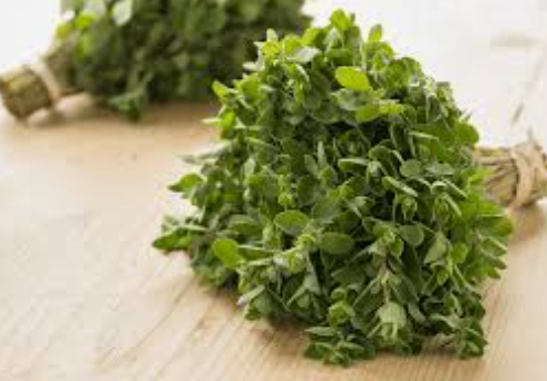 MARJORAM - BUNCH MARJOLAINE - BOTTE