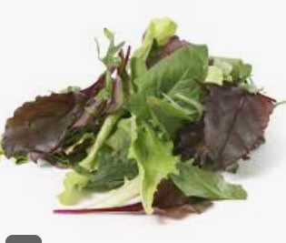 MESCLUN - BAG MESCLUN KG