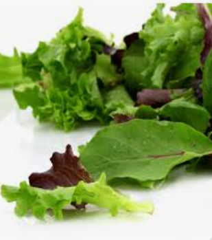 MESCLUN PROVENCAL - KG MESCLUN MELANGE - KG