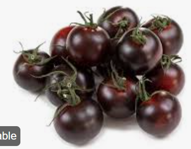 MINI BLACK TOMATO - MINI TOMATE NOIR 
