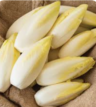 MINI CHICORY/ENDIVES - PUNNET MINI ENDIVES - BQT