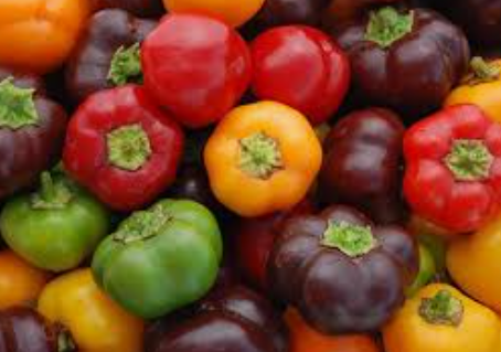 MINI PEPPERS SWEET MIX COLOURS - MINI POIVRON MIX COULEURS 