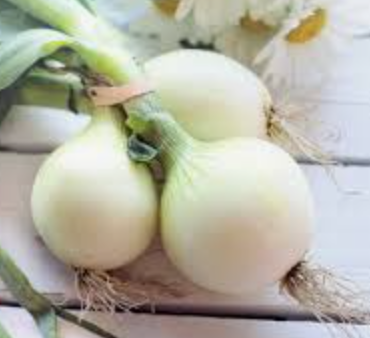 MINI WHITE ONION - PUNNET MINI OIGNON BLANC - BQT