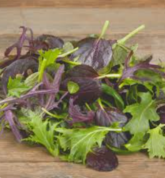 MIX JAPANESE SALAD - MESCLUM ASIATIQUE 