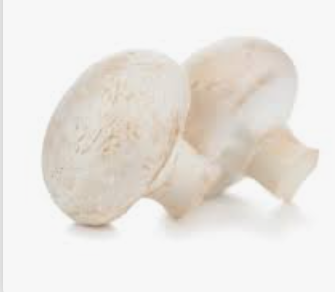 MUSHROOM BUTTON PARIS - PUNNET CHAMPIGNON PARIS - BQT